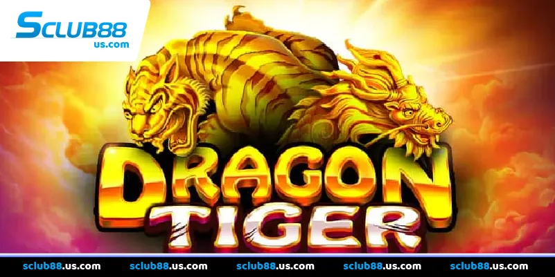 Bí quyết bắt Cầu Rồng Hổ chuyên nghiệp