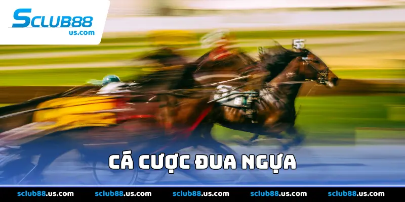 Cá Cược Đua Ngựa